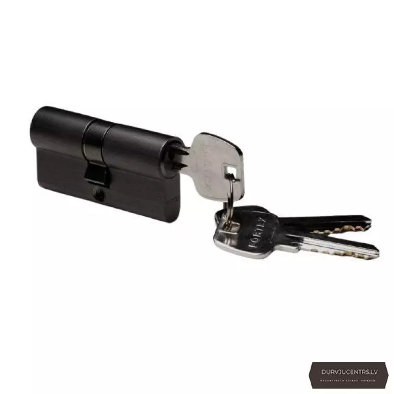 Slēdzenes cilindrs,parasta atslēga