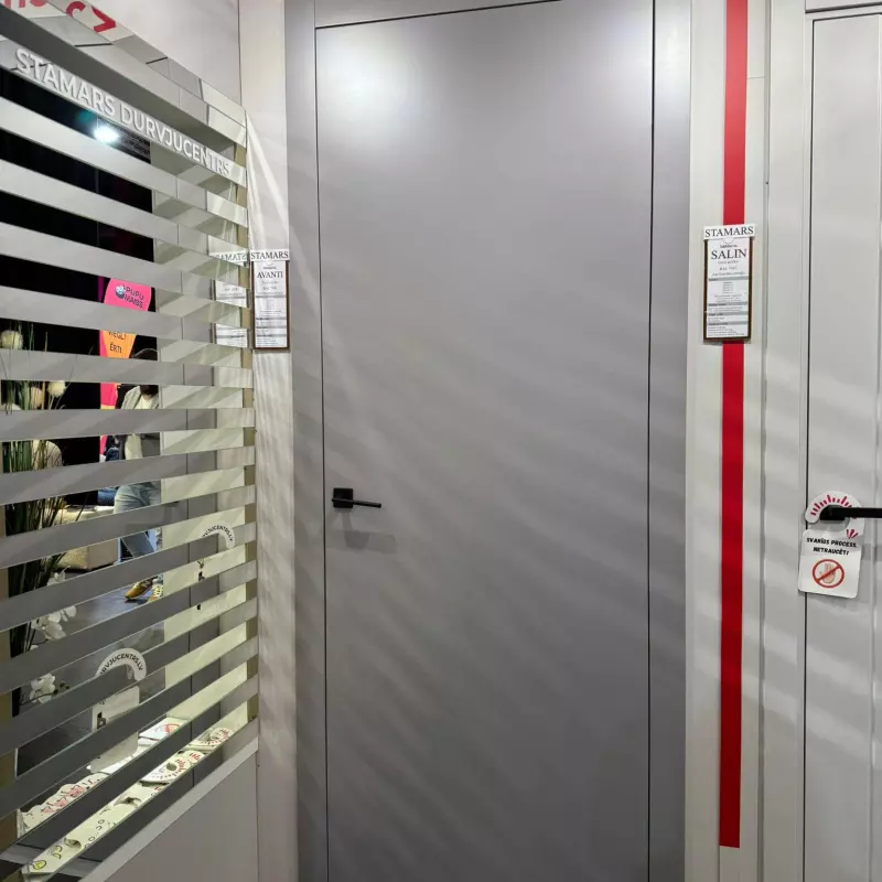 Durvis AVANTI Krāsotas durvis