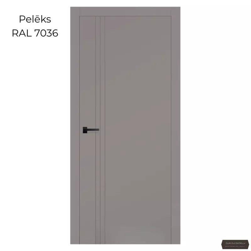 Durvis SALIN Krāsotas durvis