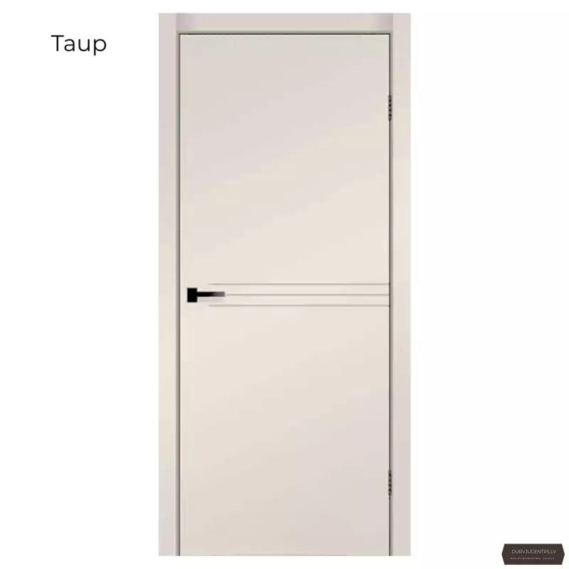 Durvis SPARTA Krāsotas durvis