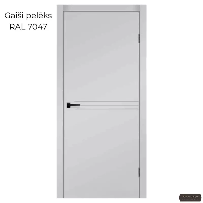 Durvis SPARTA Krāsotas durvis