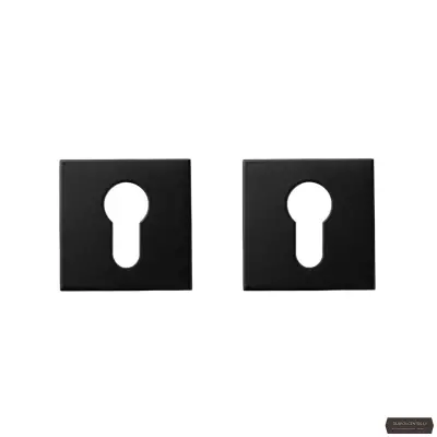 Durvju uzlika PZ, DP-C-30 BL slim