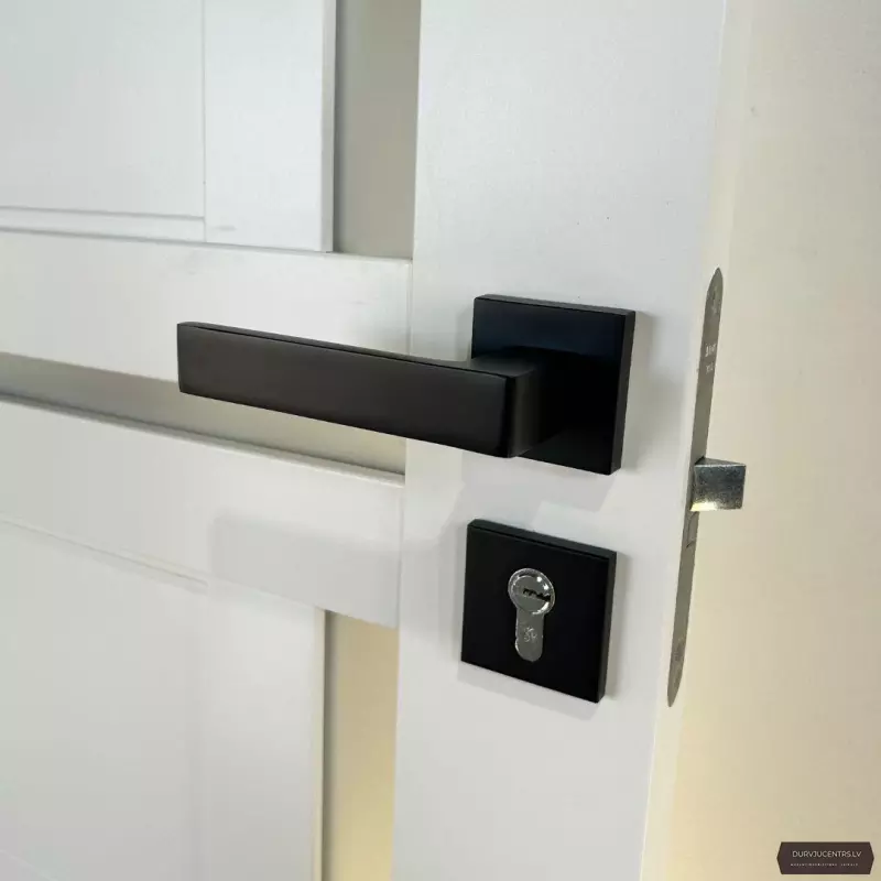 Durvju rokturis LEROS, MRO-76-40