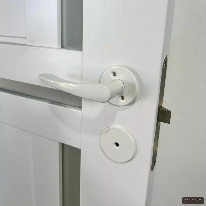 Durvju rokturis INTERIA Balts