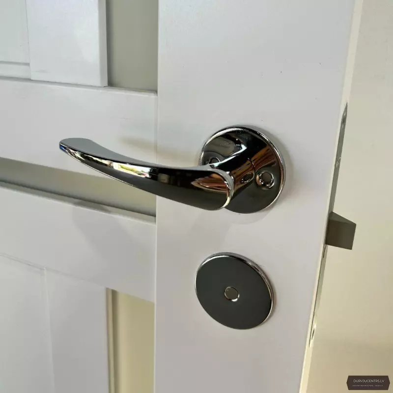 Durvju rokturis INTERIA Hroms